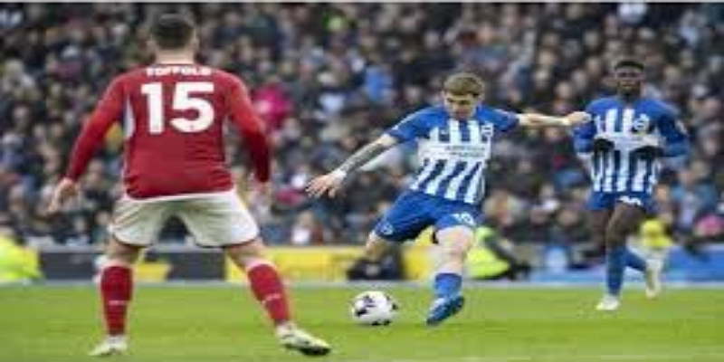 从英冠冠军到英超挑战者：开云体育解析富勒姆的崛起轨迹- 开云体育